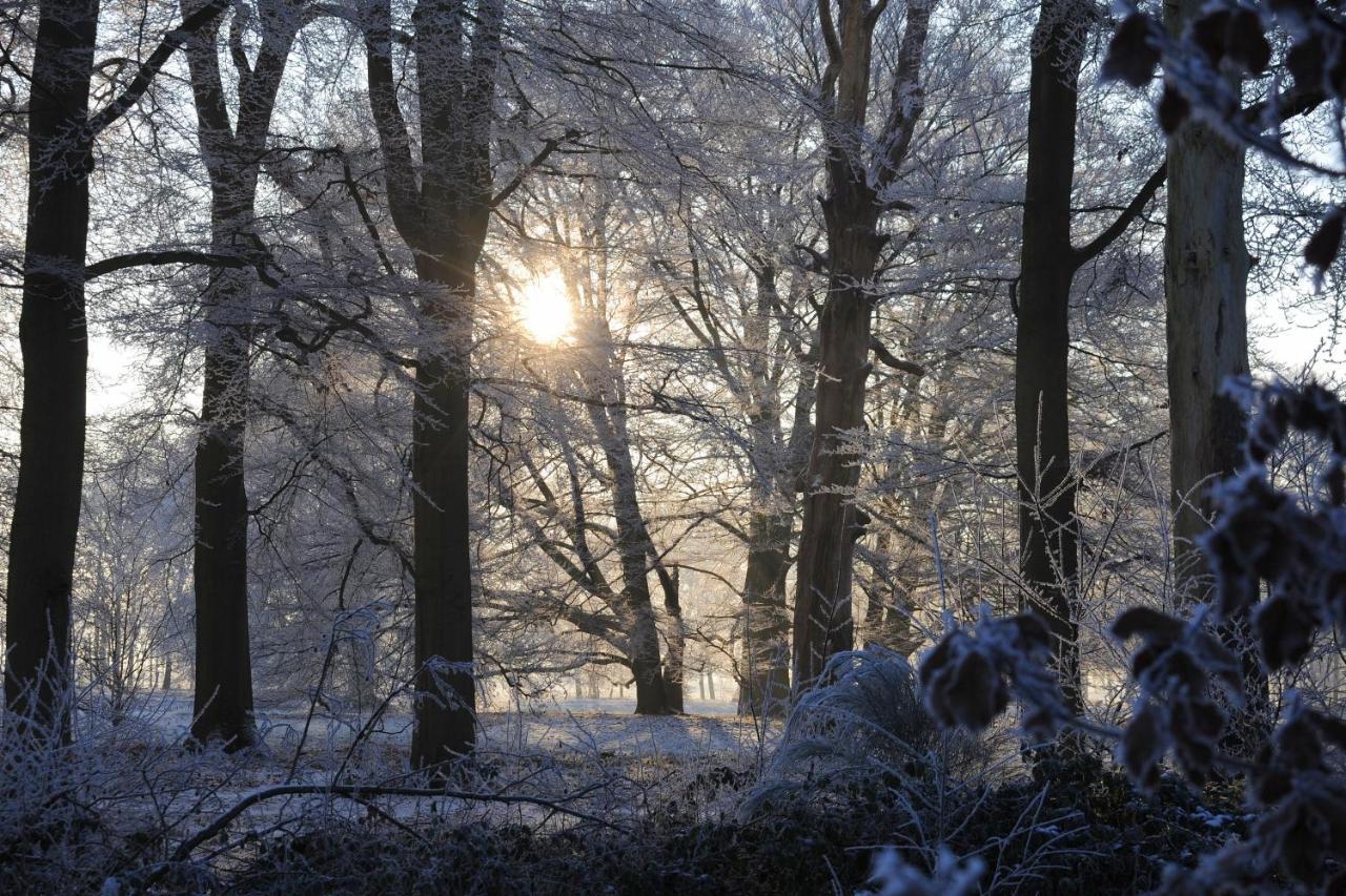 B & B De Elsterberg Elst  ภายนอก รูปภาพ